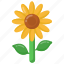 helianthus, sunflower, flower, nature, floral 