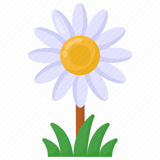 Marguerite flower, daisy flower, daisy, chamomile, floral icon - Download on Iconfinder