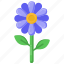 marguerite flower, daisy flower, daisy floral, chamomile, floral 