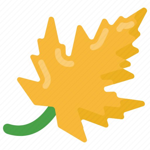 Dry leaf, autumn leaf, maple leaf, leave, ecology icon - Download on Iconfinder