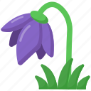 tulip flower, tulip, gesneriana, floral, blossom