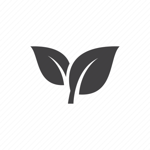 Leaf, ecology, flower, leaves, eco, nature, plant icon - Download on Iconfinder
