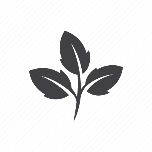 Leaf, ecology, leaves, eco, nature, plant, green icon - Download on Iconfinder