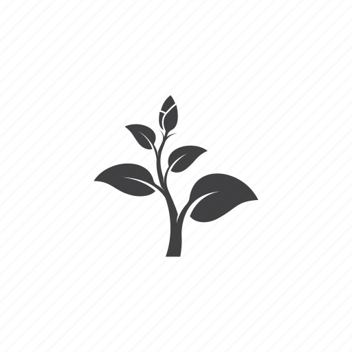 Leaf, seed, eco, nature, plant, ecology, garden icon - Download on Iconfinder