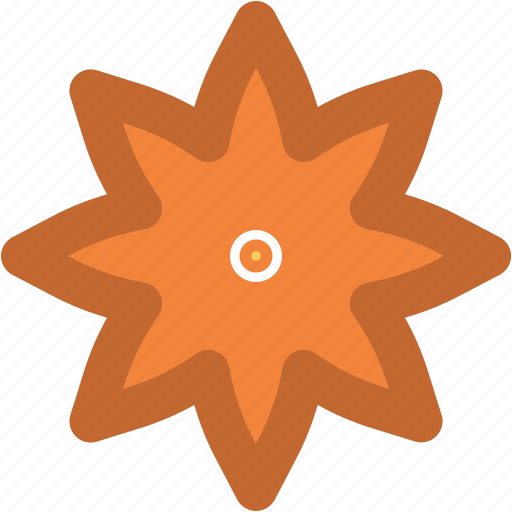 Bloom, blossom, flower, macro flower, nature and ecology, star flower icon - Download on Iconfinder