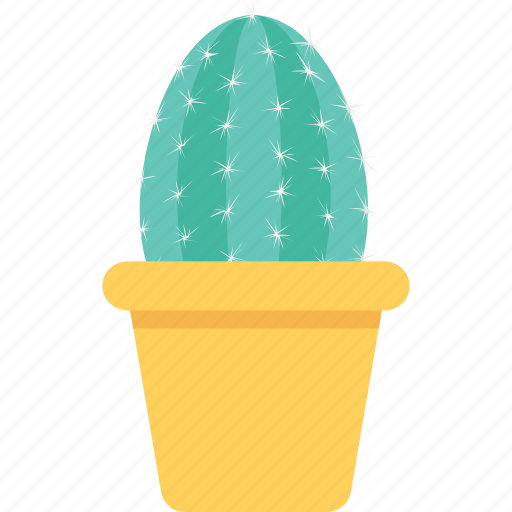 Cacti, cactus, cactus plant, desert, desert cactus, plant icon - Download on Iconfinder