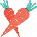 carrot, food, organic, root vegetable, vegetable