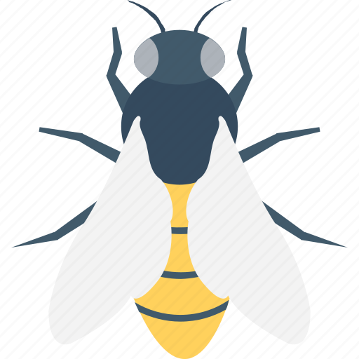 Apis mellifera, bees, farming, fly, insect icon - Download on Iconfinder