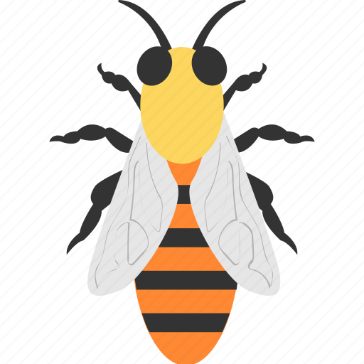 Bee, fly, honey bee, insect, nature icon - Download on Iconfinder