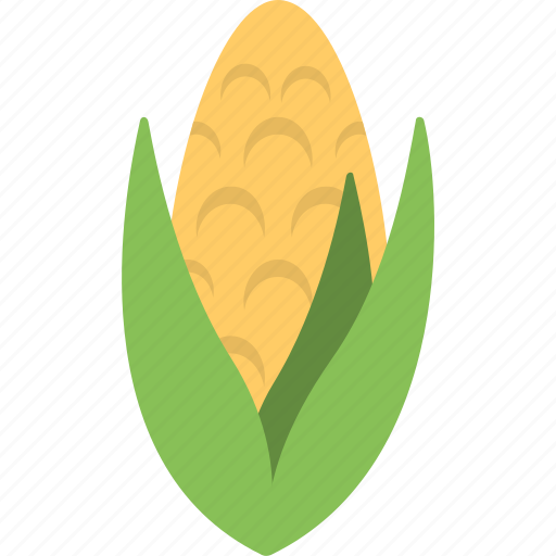 Cob, corn, maize, organic, sweet corn icon - Download on Iconfinder