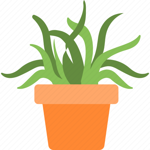 Aloe vera, garden, plant, pot, succulent icon - Download on Iconfinder
