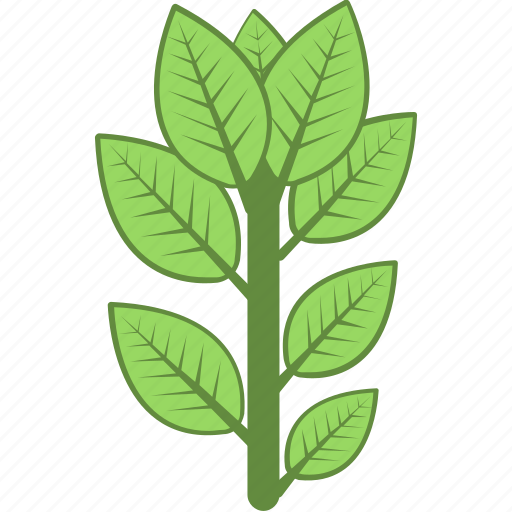 Branch, ecology, leaves, plant, twig icon - Download on Iconfinder
