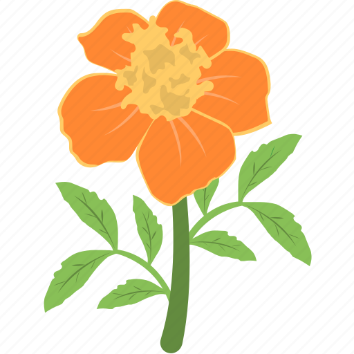 Blooming, daisy, flower, gerbera, nature icon - Download on Iconfinder