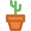 cactus, cactus plant, desert plant, garden, gardening, potted cactus, yard