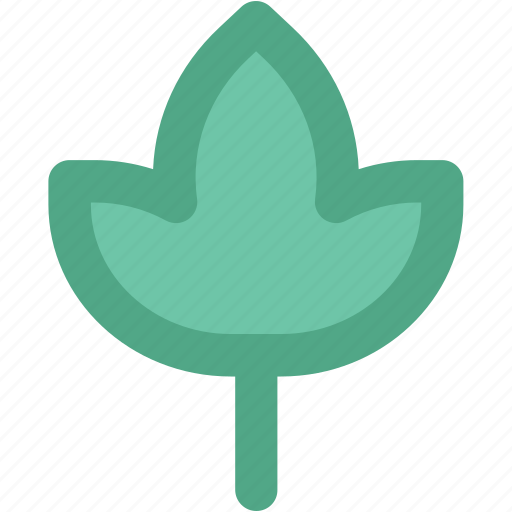 Beauty flower, ecology, flower leaf, lily, lotus, nature icon - Download on Iconfinder
