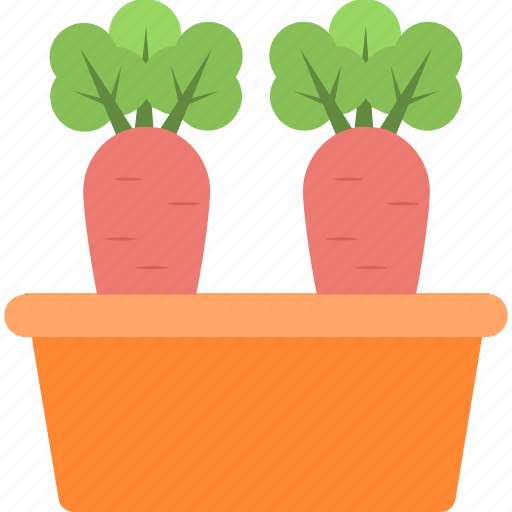 Carrot, food, organic, root vegetable, vegetable icon - Download on Iconfinder