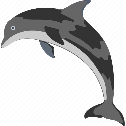 Animal, dolphin, mammal, sea, whale icon - Download on Iconfinder