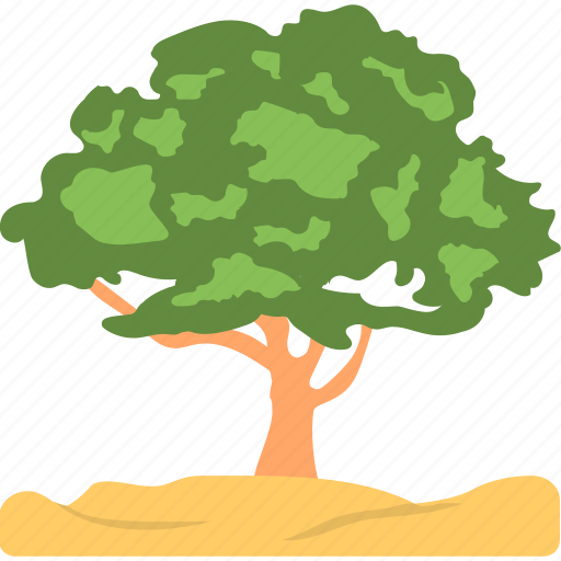 Ash tree, evergreen, foliage, greenery, nature icon - Download on Iconfinder