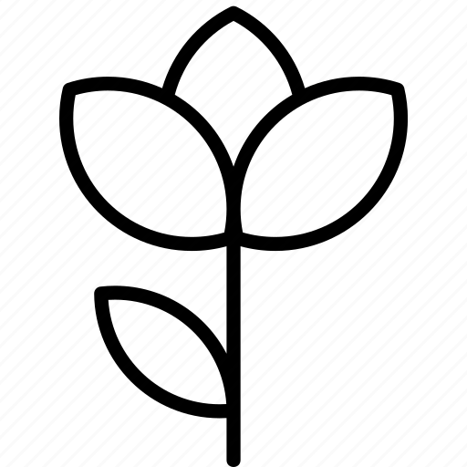 Flower, garden, growth, leave, nature, plant icon - Download on Iconfinder