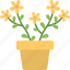 flower, gardening, plant, plantation, pot 