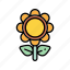 flower, nature, plant, sunflower 