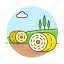 agriculture, animal, bales, countryside, farm, farming, field, fooder, hay, husbandry, nature, ranch, round 