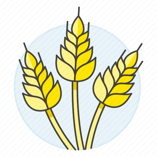Agriculture, golden, harvest, nature, rice, spikes, wheat icon - Download on Iconfinder