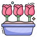 rose flower, floweret, blossom, botany, nature