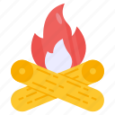 campfire, bonfire, wood burning, ignition, fireside