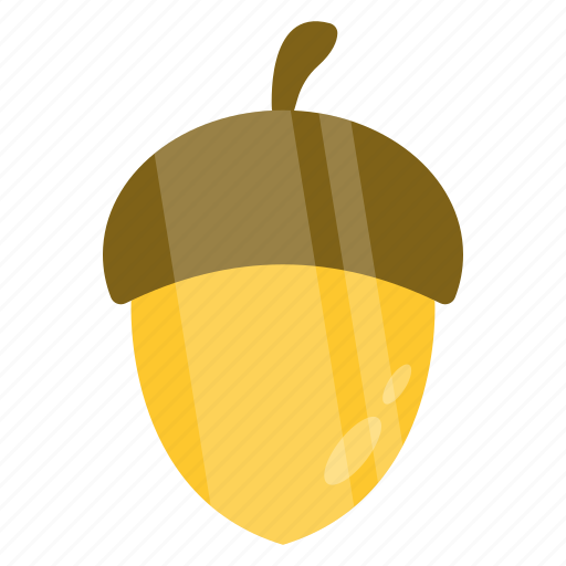 Acorn, fruit, edible, nutritious diet, healthy diet icon - Download on Iconfinder