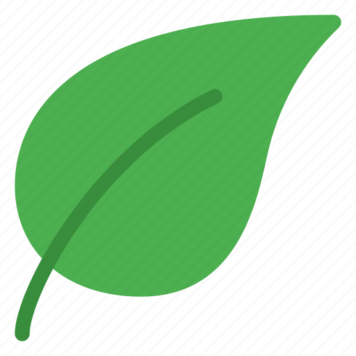 Decorative, green, leaf, natural, nature, plant, stem icon - Download on Iconfinder