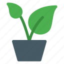 container, eco, energy, green, nature, plant, pot