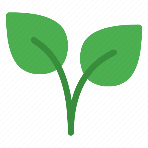 Conservation, ecology, forest, leaf, leaves, plant, tree icon - Download on Iconfinder