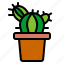 cactus, desert, plant, sun, nature, tree 