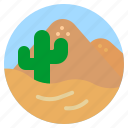 desert, dune, cactus, sun, nature, landscape