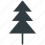 christmas tree, evergreen tree, fir tree, pine tree, tree 