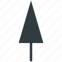 cypress tree, evergreen tree, tree