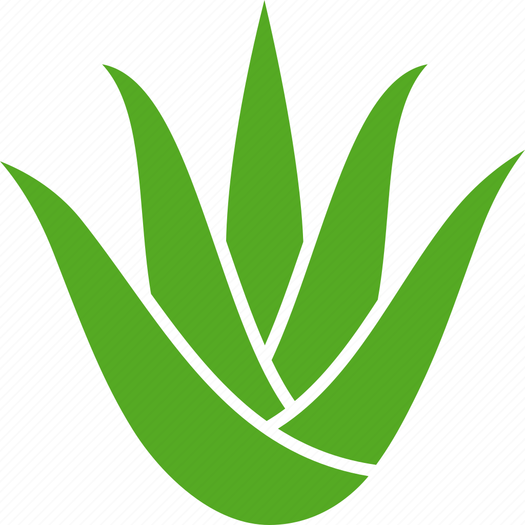 Green aloe. Алоэ пиктограмма. Алоэ логотип. Листья алоэ вектор. Алоэ силуэт.
