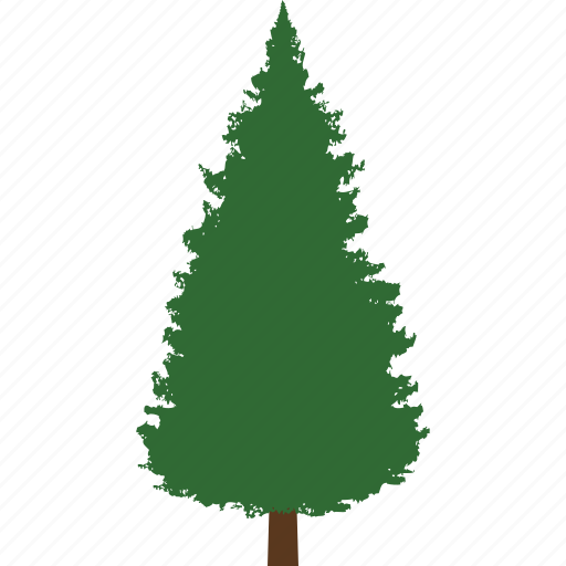 Christmas, evergreen, nature, park, pine, pinetree, tree icon - Download on Iconfinder