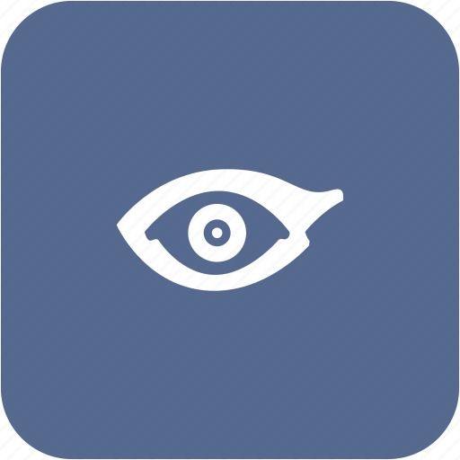 Biometry, eye, left, person icon - Download on Iconfinder