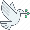 dove, freedom, ngo, peace, celebration, flying, pigeon 