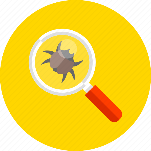 Bug, search, magnifier, protection, security, web, zoom icon - Download on Iconfinder