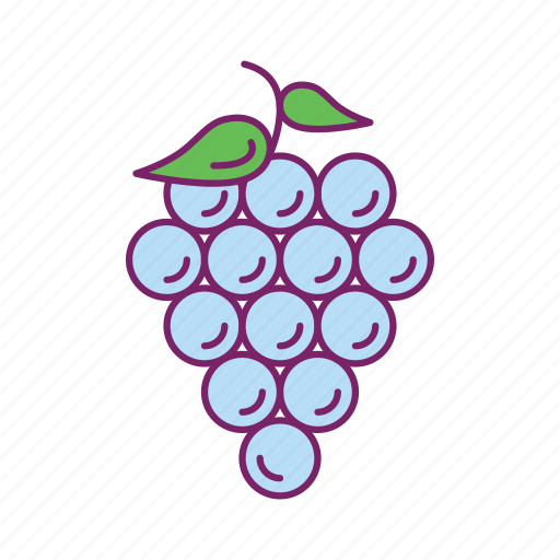 Food, fruit, fruit basket, grapes icon - Download on Iconfinder
