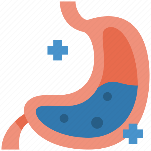 Stomach, organ, health, medical, body, belly, human icon - Download on Iconfinder