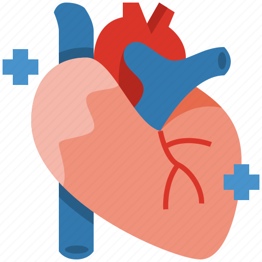 Heart, organ, medical, human, healthcare, health, cardia icon - Download on Iconfinder