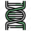 dna, chromosome, genetic, gene, biology 