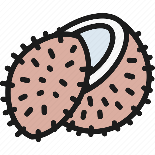Beans, coconut, color, food, fruit, healthy, lychee icon - Download on Iconfinder