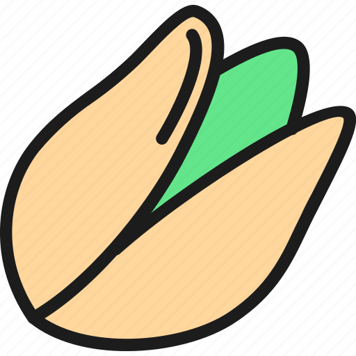 Bean, beans, color, food, nut, pistachio, vegetarian icon - Download on Iconfinder