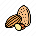 almond, nut, delicious, natural, nutrition, peanut