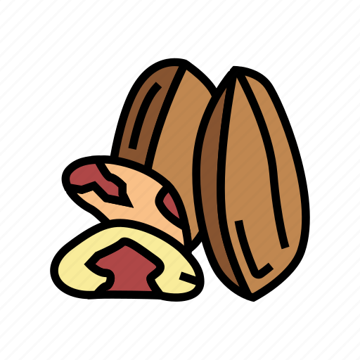 Brazil, nut, delicious, natural, nutrition, peanut icon - Download on Iconfinder
